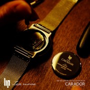 Montre LIP Leon Dauphine 100 ans 670998 Montre LIP Leon Dauphine 100 ans 670998