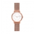 Montre femme Skagen Signature Slim maille milanaise SKW2694