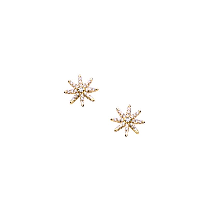 Boucles d'oreilles Carador étoile en plaqué or et oxydes de zirconium