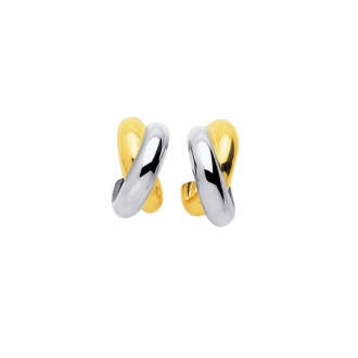 Boucles d'oreilles demi créoles Or Bicolore 750/000