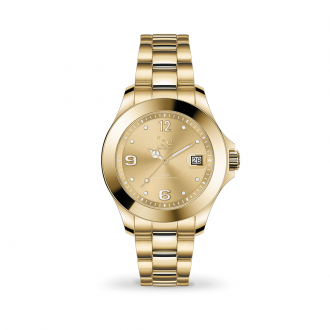 Montre ICE-WATCH ICE Steel light Gold Small 017319