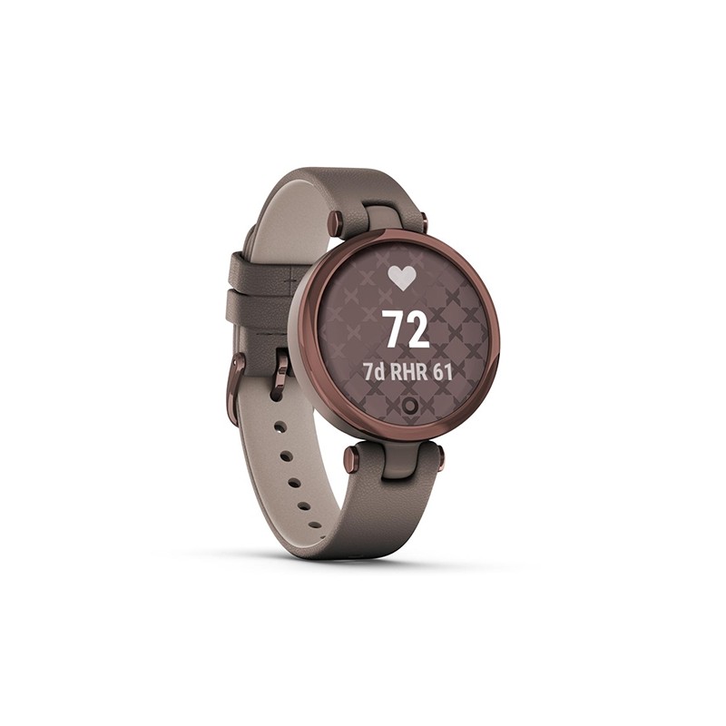 Montre connectée de la marque Garmin collection Lily modèle Paloma