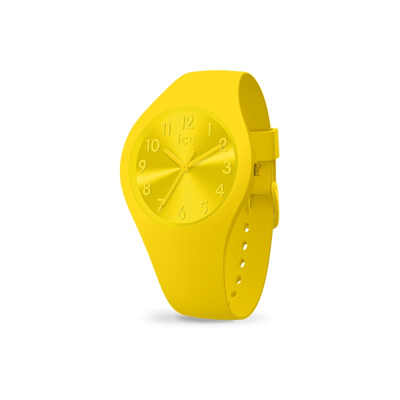 Montre Ice Watch COLOUR - CITRUS small