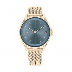 Montre femme tommy hilfiger dorée et bleue