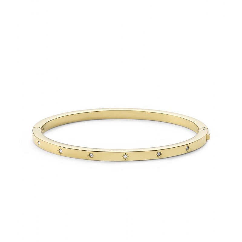 Bracelet Jonc Fossil collection Sutton Shine Bright acier doré