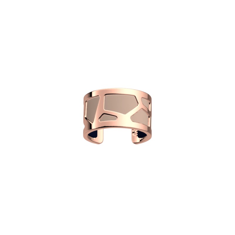 CUIR BAGUE LES GEORGETTES POUDRE / OMBRE BLEUTE 12MM