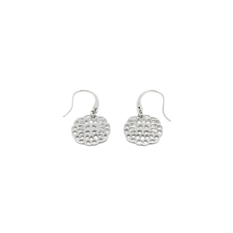 Boucless d'Oreilles en Acier