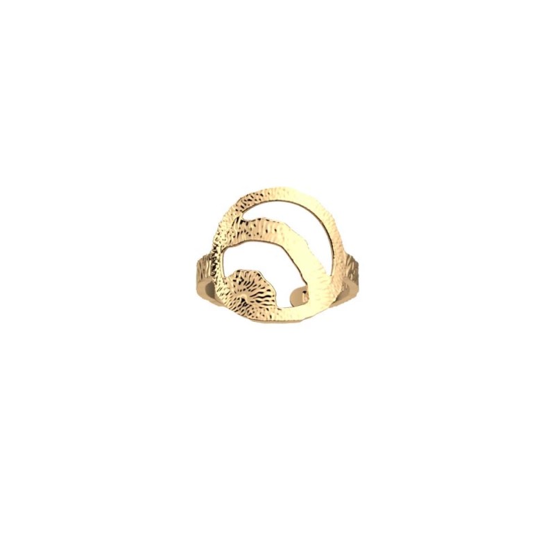 BAGUE LES GEORGETTES NOMADE LAITON DORÉ 16MM