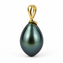 Pendentif Carador Or Jaune 750/000 - Perle de Tahiti