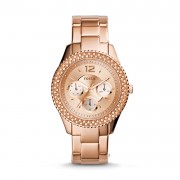Montre FOSSIL STELLA ES3590 Montre FOSSIL STELLA ES3590