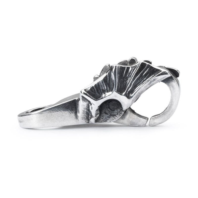 Fermoir Trollbeads Le Meilleur des Deux Mondes Argenté en argent 925, packshot sur fond blanc