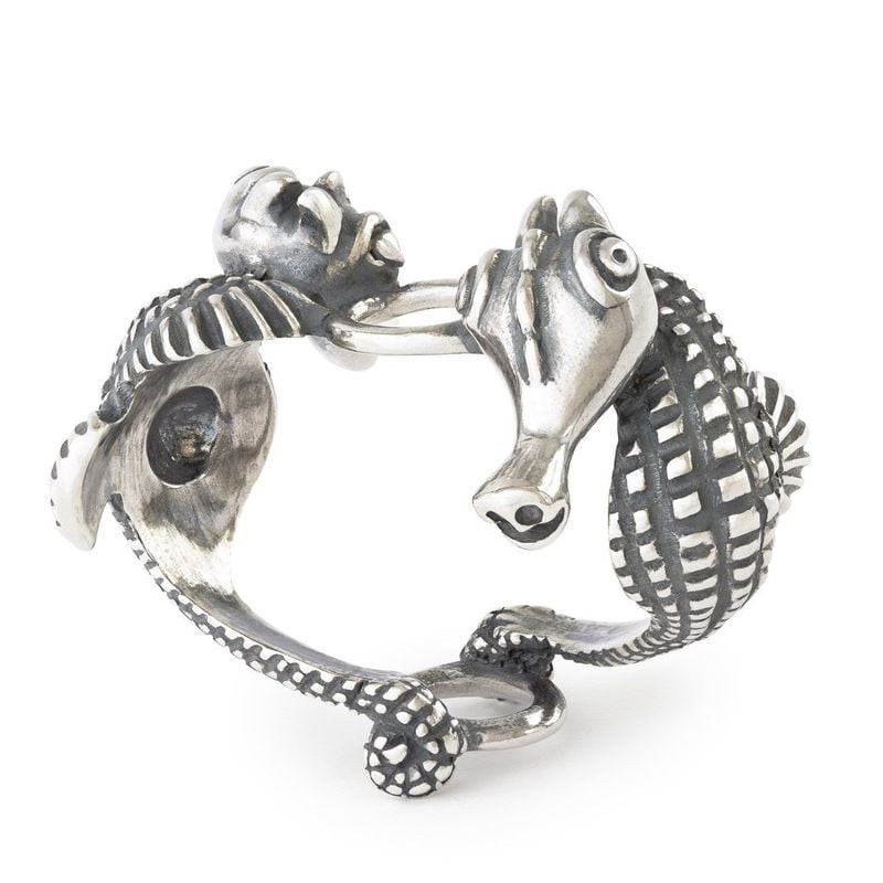 Packshot du Pendentif Trollbeads Gardiens de l'océan Hippocampes Argenté en argent sterling 925
