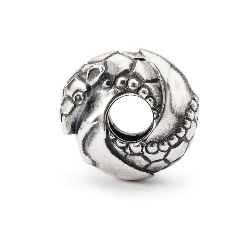 Gros plan sur le charm en argent sterling TROLLBEADS PERLE TATOU ARGENT
