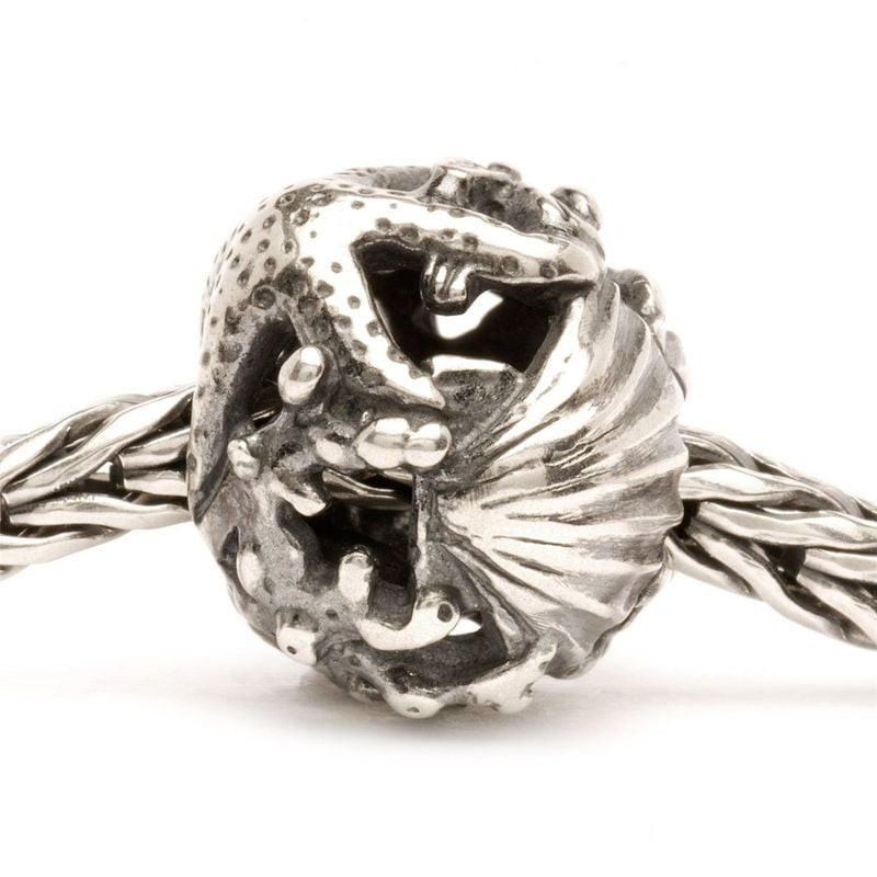 Bille Trollbeads Trésors en argent sterling sur chaîne de bracelet tressée, détails étoile de mer et