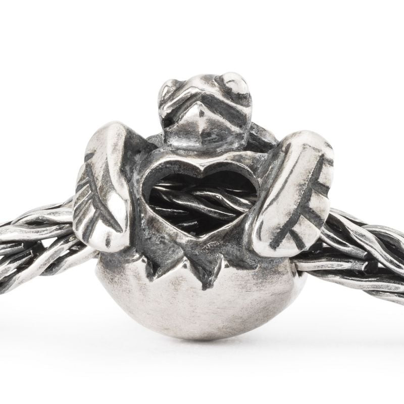 Perle Force of Life Trollbeads en argent sterling sur chaîne tressée, vue de face avec tortue et ouv