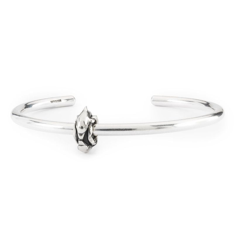 Packshot de l'Écarteur Trollbeads Bisou du Dauphin Argenté en argent sterling 925, bijou pour bracel