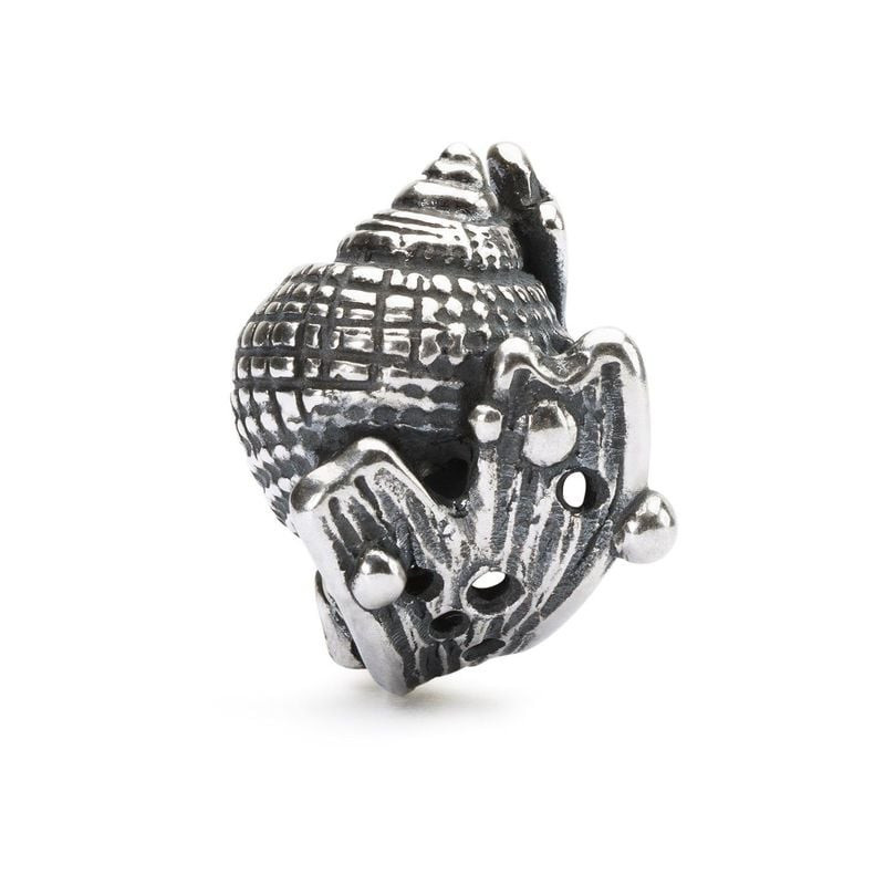 Packshot du Charme Trollbeads Conque Coquillage Argenté en argent 925 sur fond neutre