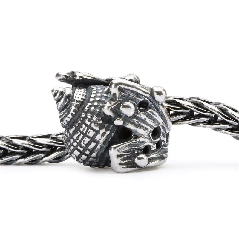 Packshot du charme Trollbeads Conque Coquillage Argenté en argent 925 sur fond blanc