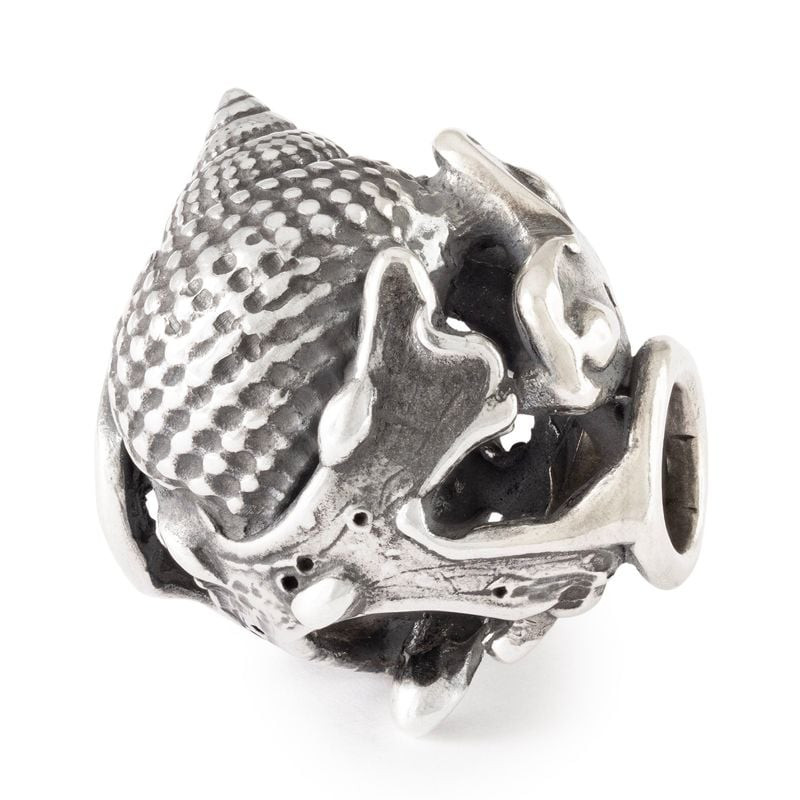 Packshot du charm Trollbeads Promesse de l'Océan Coquillages Argenté en argent sterling 925 avec per