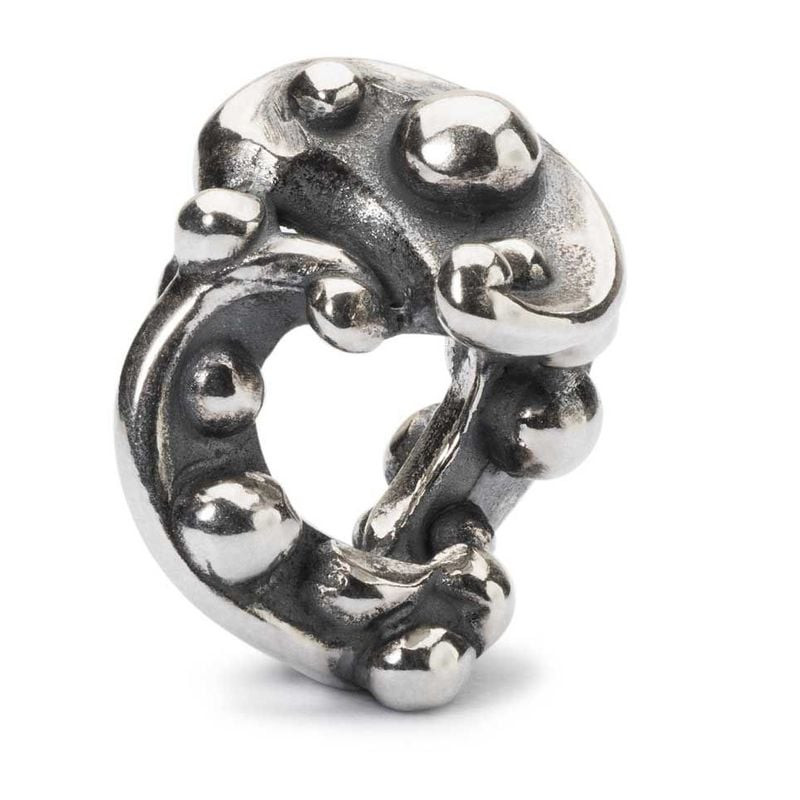 Photo du Charm Trollbeads Rêve nocturne Argenté, charme en argent 925 sur fond neutre.