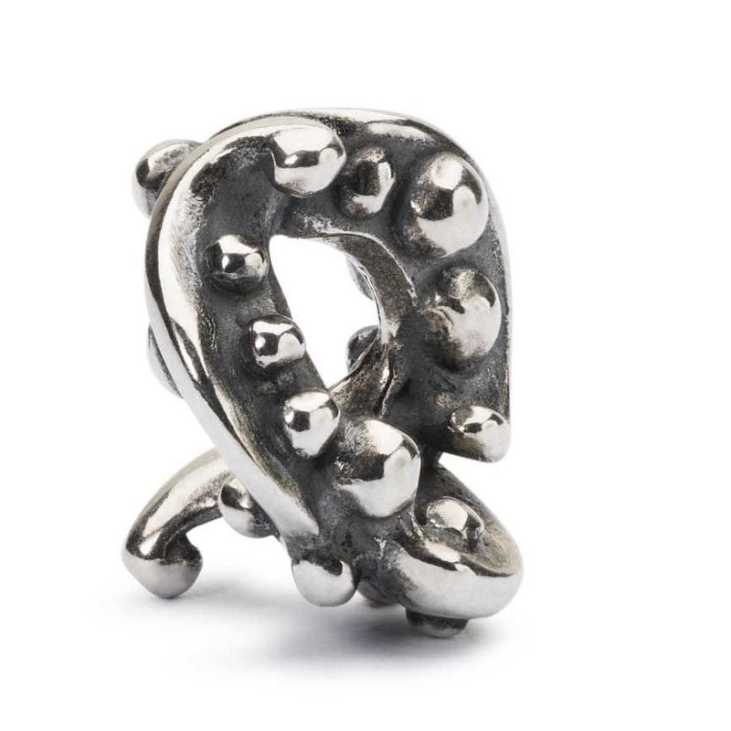 Charm Trollbeads Rêve nocturne Argenté en argent 925, packshot sur fond blanc