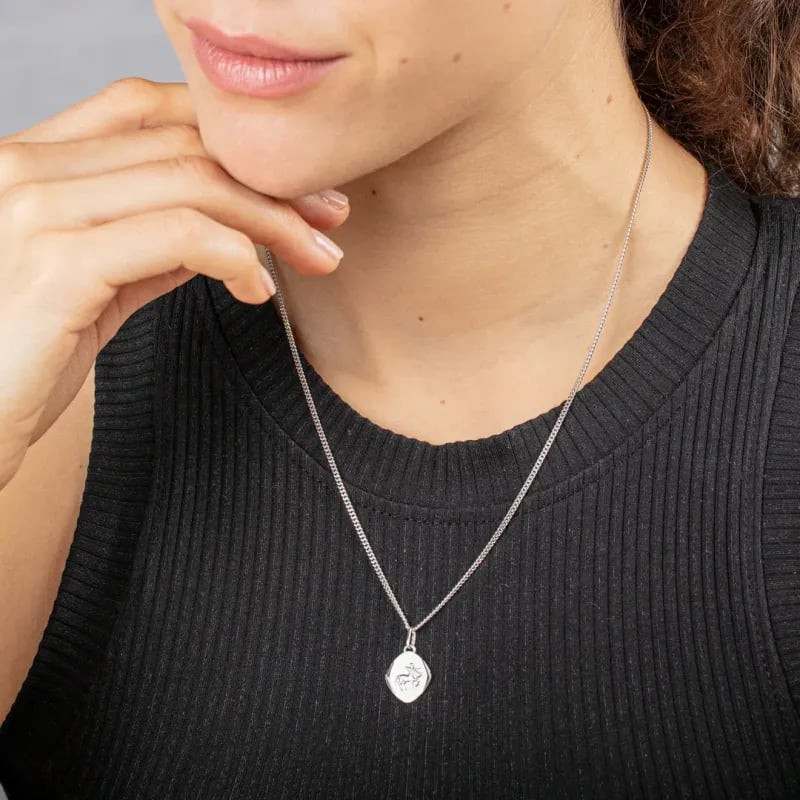 Pendentif zodiaque Sagittaire Robbez Argent 925/000 porté en bijou du quotidien